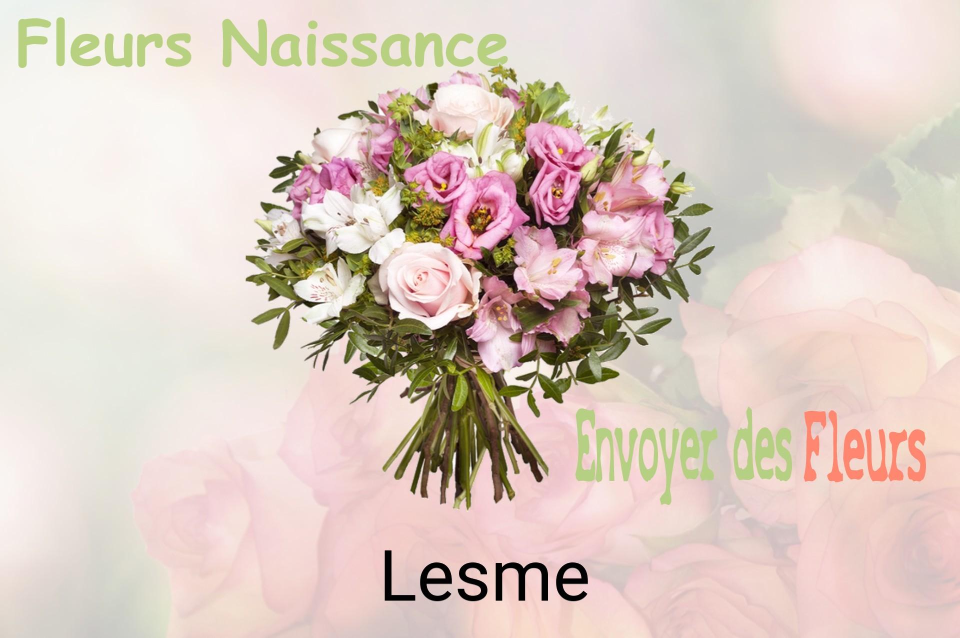 Bouquet de fleurs de naissance livré à Lesme