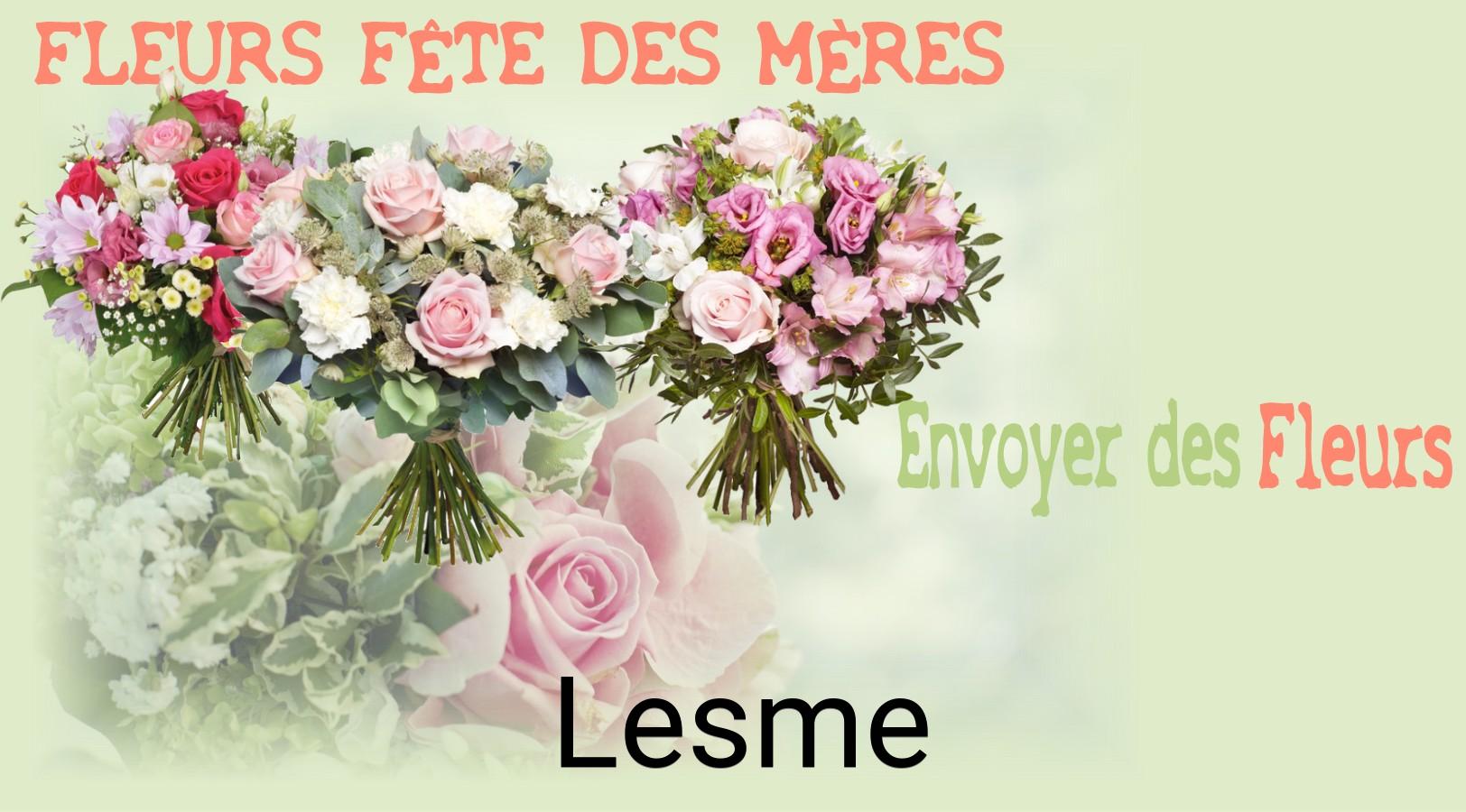 Bouquet de Fête des Mères livré à Lesme